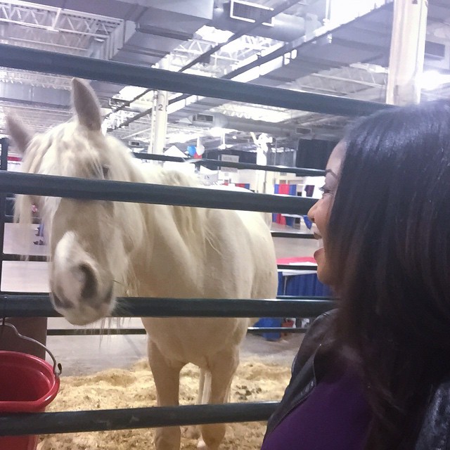 I think the horse likes me! Today on Good Day Marketplace, we're live at the @ColumbusPetExpo 🎥📺😊🐎🐴